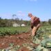 Campo Bom é destaque estadual em políticas públicas para a agricultura