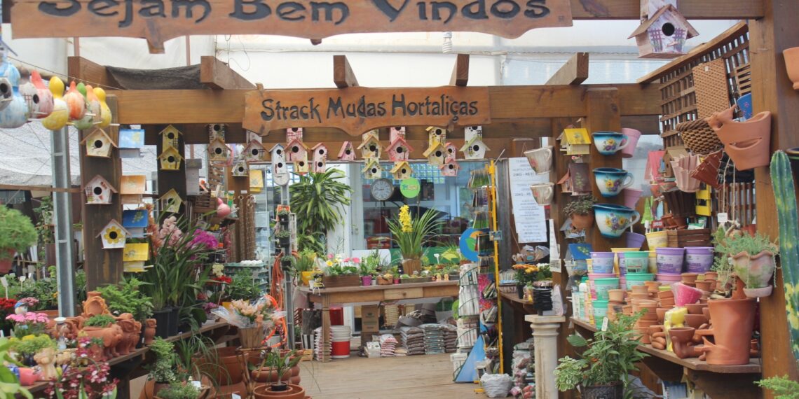 Especial de natal: Strack mudas de hortaliças e floricultura