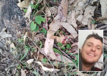 Homem morre após atear fogo em área de mata em Araricá