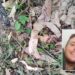 Homem morre após atear fogo em área de mata em Araricá