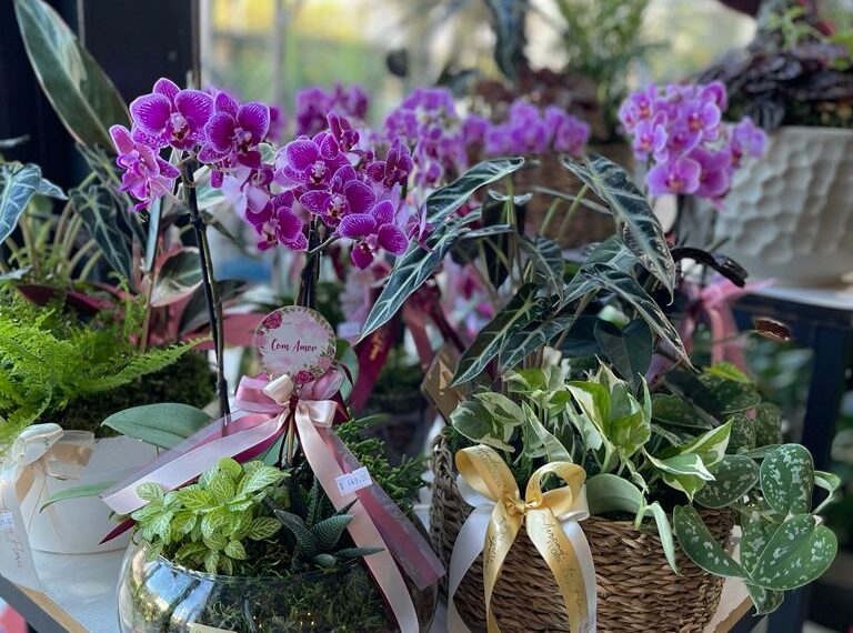 Mercado das Flores reinaugura loja neste sábado em Sapiranga