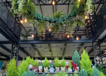 Mercado das Flores reinaugura loja neste sábado em Sapiranga