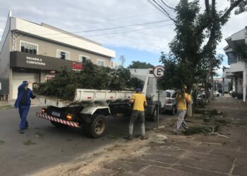 Sapiranga divulga calendário para recolhimento de galhos e entulhos do primeiro semestre de 2023