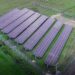 Sicredi Caminho das Águas inaugura usina solar própria