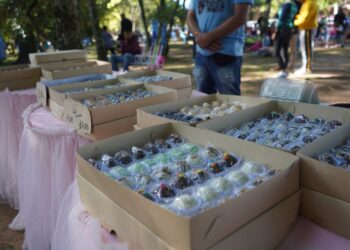 Prefeitura de Campo Bom credencia ambulantes para show de Aniversário