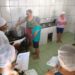 Emater e Departamento de Agricultura realizam curso em Nova Hartz