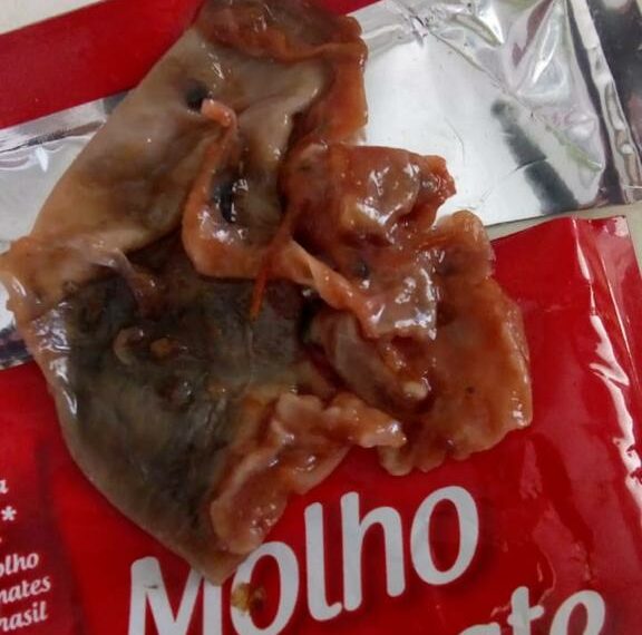 Possível vestígio de rato é encontrado em molho de tomate em Sapiranga