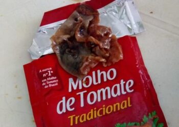 Possível vestígio de rato é encontrado em molho de tomate em Sapiranga