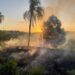 Área de mata é atingida por incêndio em Campo Bom