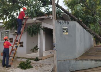 Defesa Civil e Bombeiros são acionados após estragos causados pela chuva em Campo Bom