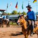 Lotes para acampamento do Rodeio de Campo Bom serão alugados nesta quinta-feira