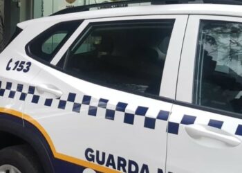 Guarda Municipal de Campo Bom prende homem suspeito de agredir a própria mãe