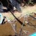 MORTE NO FERRABRAZ: Ponte desaba, deixa um morto e vários feridos em camping de Sapiranga