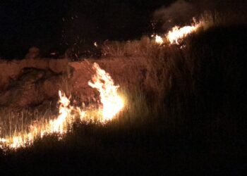 Corpo de Bombeiros de Sapiranga emite nota sobre incêndios em vegetação
