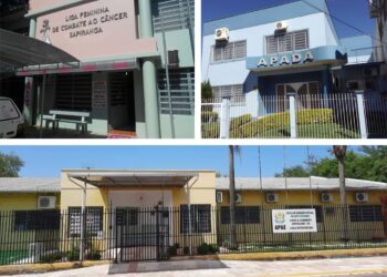 Entidades fazem a diferença na vida daqueles que mais precisam: Apada, Apae e Liga Feminina de Sapiranga
