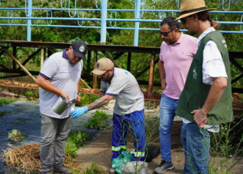 Água de açude no Bairro Aurora de Campo Bom passa por análise