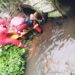 Bombeiros voluntários de Araricá firmam parceria de 5 anos com EGR