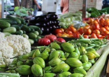 Feira da Agricultura Familiar de Nova Hartz acontece neste domingo