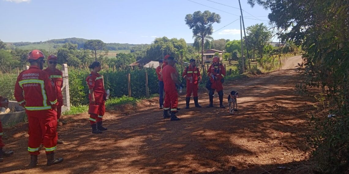 Cadela Pointer, dos bombeiros de Nova Hartz, auxilia na localização de homem morto