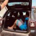 Acusado de roubar carro e tentar extorquir vítima é preso em Nova Hartz