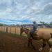 Sábado de provas e esportes campeiros no Rodeio Nacional de Campo Bom