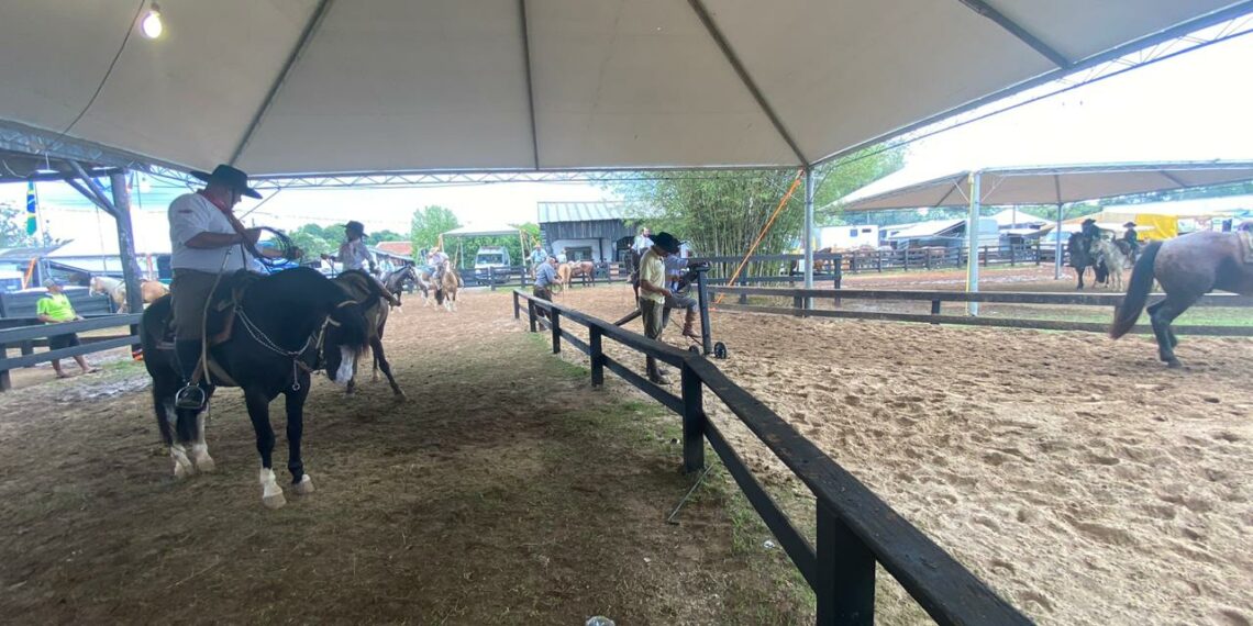 Sábado de provas e esportes campeiros no Rodeio Nacional de Campo Bom