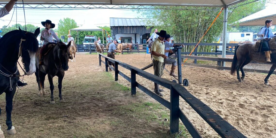 Sábado de provas e esportes campeiros no Rodeio Nacional de Campo Bom