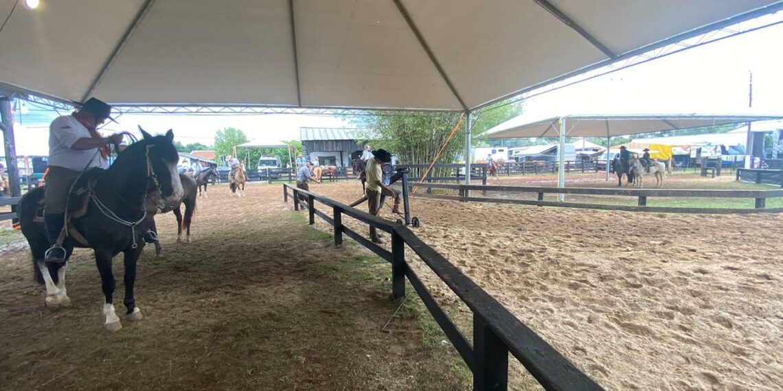 Sábado de provas e esportes campeiros no Rodeio Nacional de Campo Bom