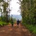 Sapiranga terá Caminhada Rural neste domingo