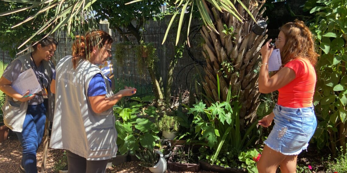 Agentes de endemias visitam casas e comércios no trabalho contra a dengue