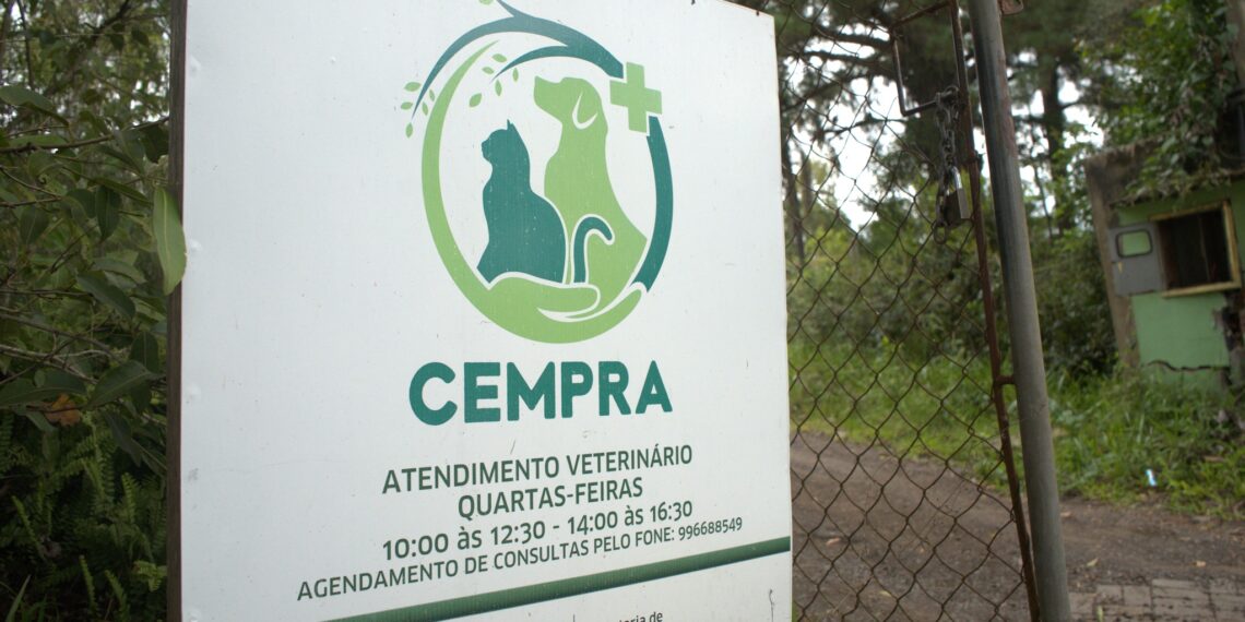 Campo Bom realizou mais de duas mil castrações e consultas gratuitas de animais em 2022