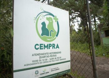 Campo Bom realizou mais de duas mil castrações e consultas gratuitas de animais em 2022