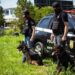 Sapiranga vai sediar segundo torneio de cães da Polícia Civil