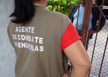 Combate à dengue continua em Campo Bom