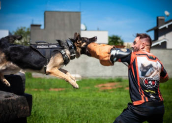 Sapiranga promove 2ª edição do torneio de cães policiais