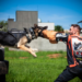 Sapiranga promove 2ª edição do torneio de cães policiais