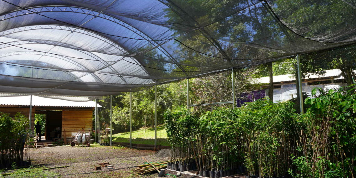 Horto Municipal de Campo Bom possui nova estufa