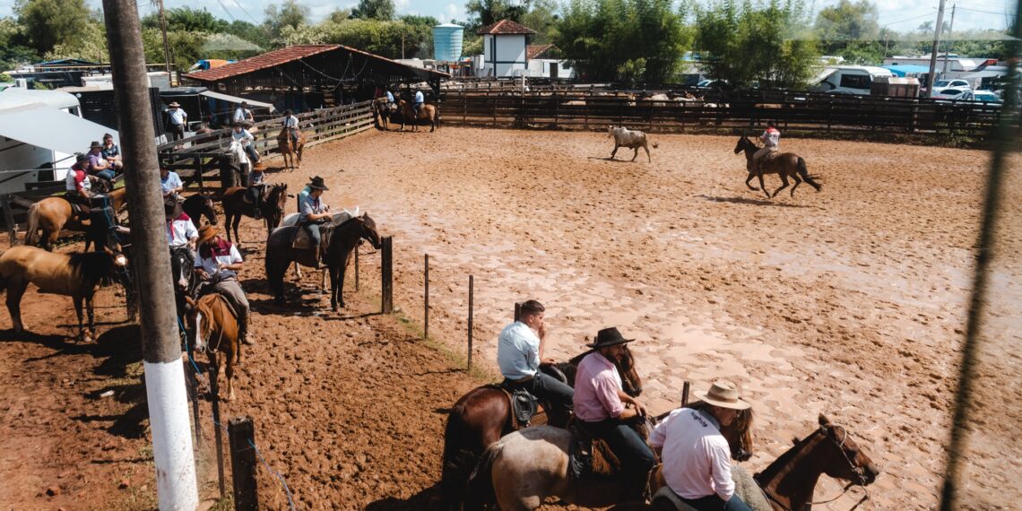Incentivo à tradição gaúcha, Rodeio Nacional segue com programação até domingo em Campo Bom