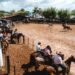 Incentivo à tradição gaúcha, Rodeio Nacional segue com programação até domingo em Campo Bom