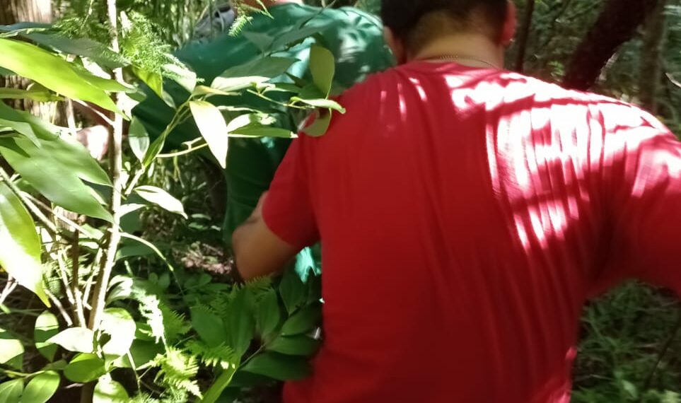 Homem é preso após matar cunhado a marteladas em Nova Hartz