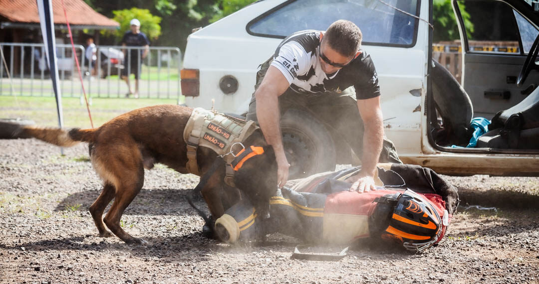 Torneio de Cães integra forças de segurança em parque de Sapiranga