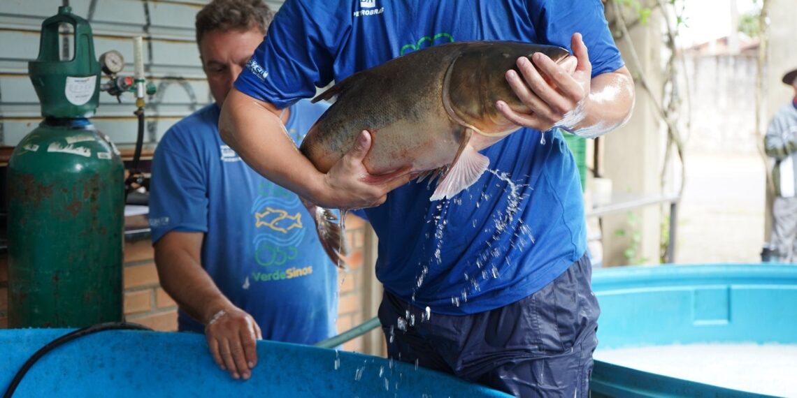 Campo Bom promove Feira do Peixe Vivo