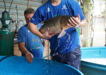 Campo Bom promove Feira do Peixe Vivo
