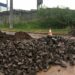 Amvag pede solução para bloqueio próximo ao pedágio da RS-239, em Campo Bom