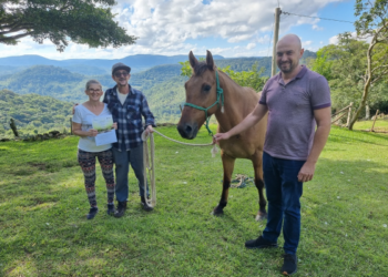 Cavalo adotado é entregue pelo Semape de Sapiranga