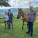 Cavalo adotado é entregue pelo Semape de Sapiranga