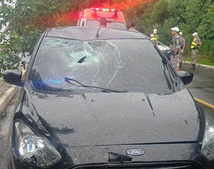 Ladrão sofre acidente durante a fuga e acaba preso em Sapiranga