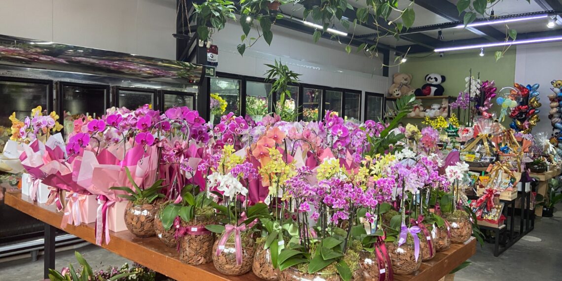 Mercado das Flores, feito por uma mãe para todas as mães