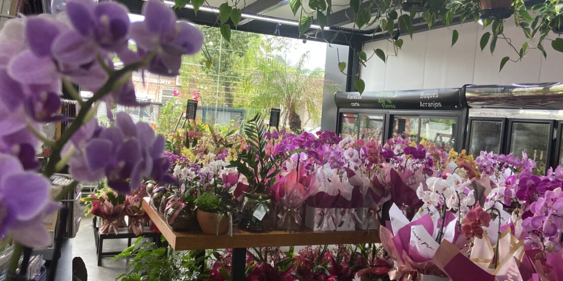 Mercado das Flores, feito por uma mãe para todas as mães