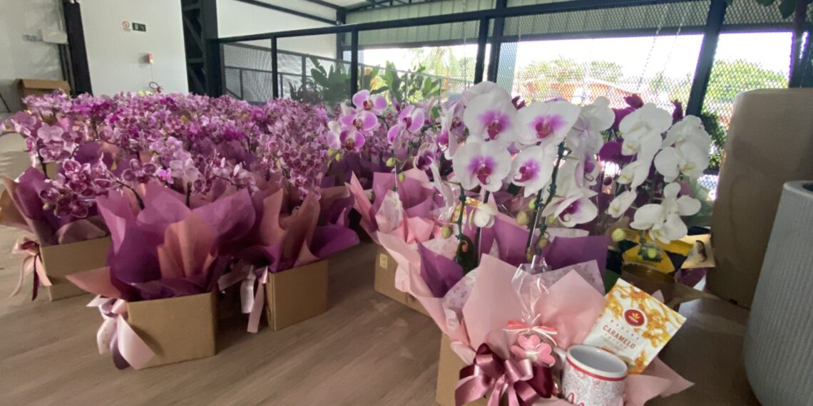 Mercado das Flores, feito por uma mãe para todas as mães